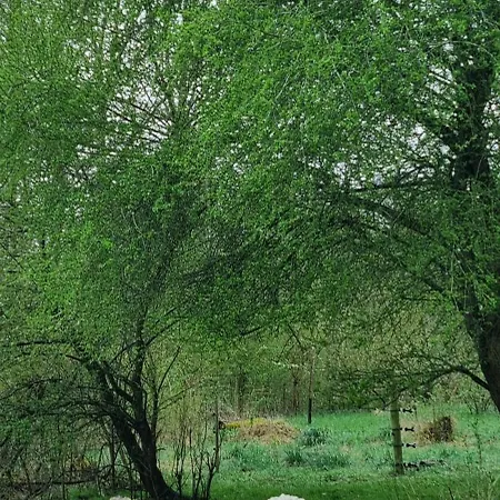 Apartment At Havegaard, Beautiful Old Farm Surrounded By Beautiful Nature Close To The Coast *