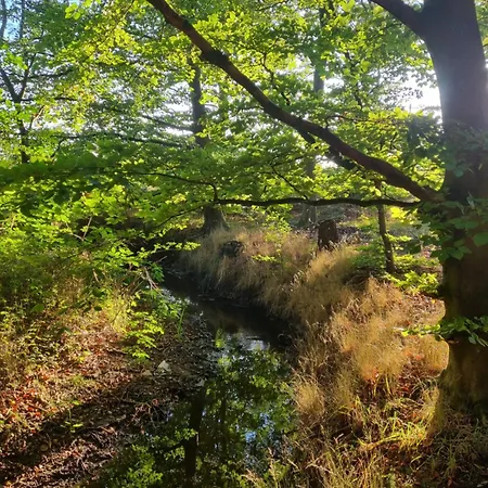 At Havegaard, Beautiful Old Farm Surrounded By Beautiful Nature Close To The Coast Apartment *